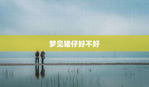 梦见猪仔好不好