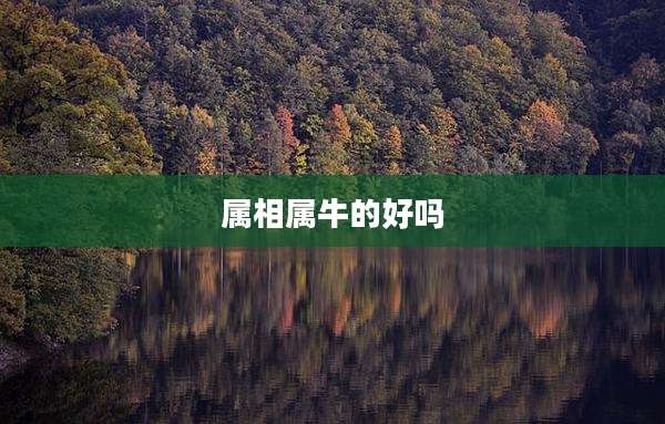 属相属牛的好吗