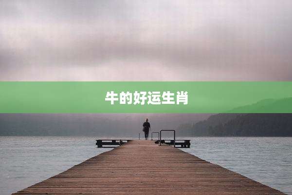 牛的好运生肖
