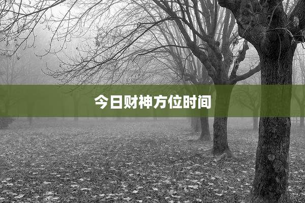 今日财神方位时间