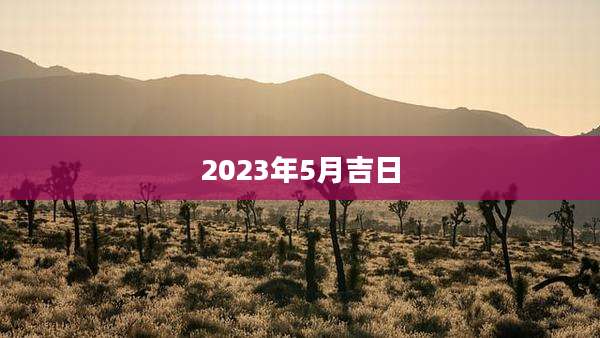 2023年5月吉日
