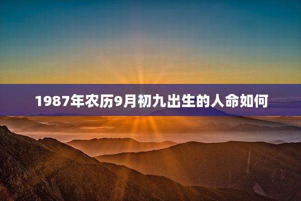 1987年农历9月初九出生的人命如何