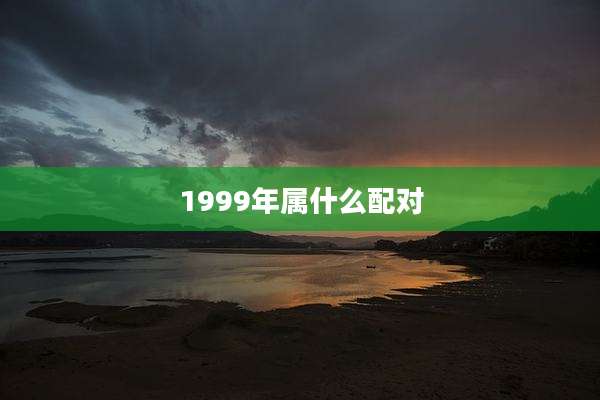 1999年属什么配对