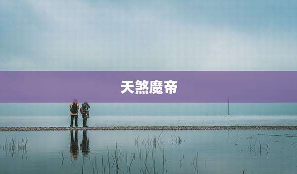 天煞魔帝