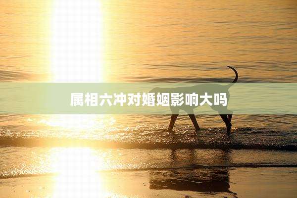属相六冲对婚姻影响大吗