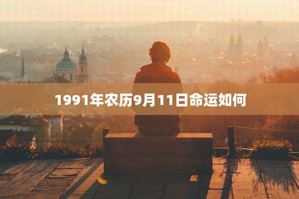 1991年农历9月11日命运如何