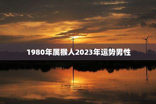 1980年属猴人2023年运势男性