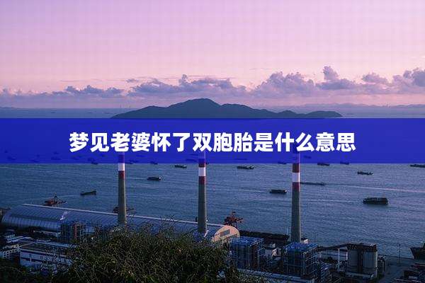 梦见老婆怀了双胞胎是什么意思