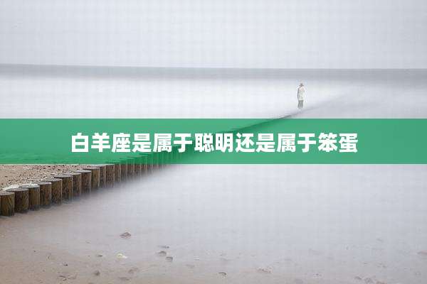 白羊座是属于聪明还是属于笨蛋