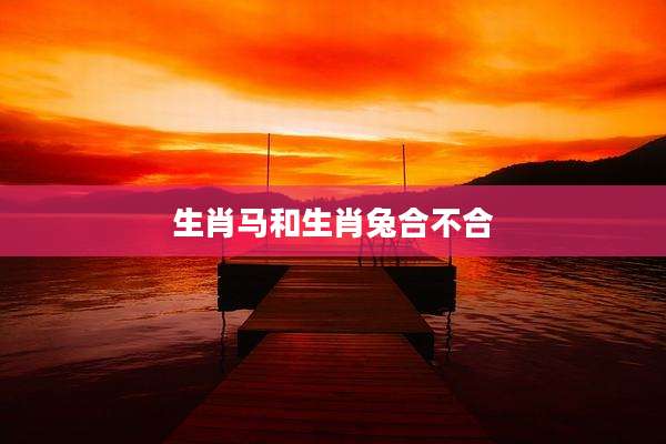 生肖马和生肖兔合不合