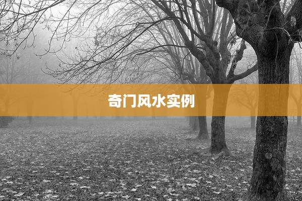奇门风水实例