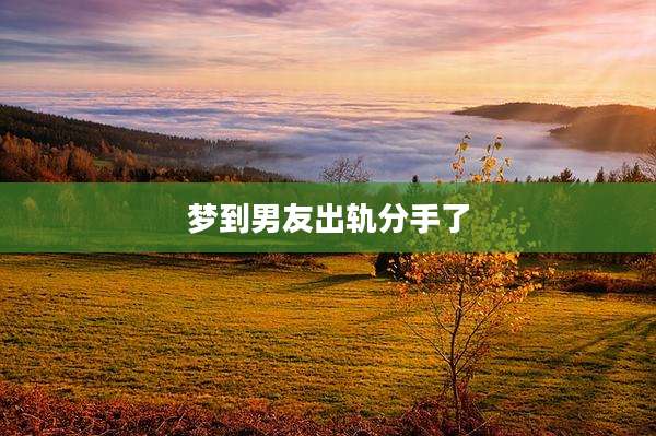 梦到男友出轨分手了