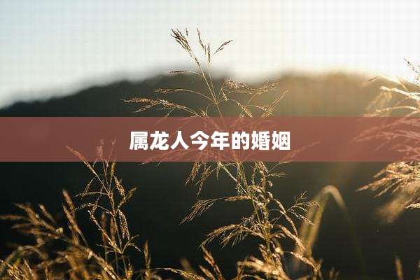 属龙人今年的婚姻