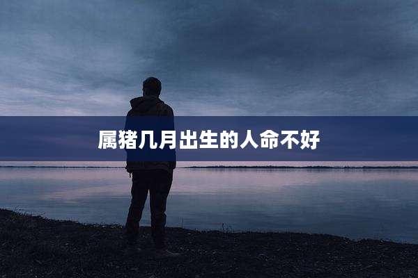 属猪几月出生的人命不好