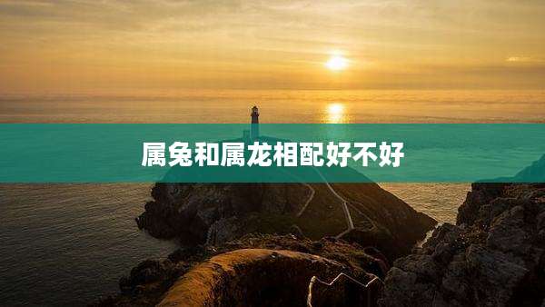 属兔和属龙相配好不好
