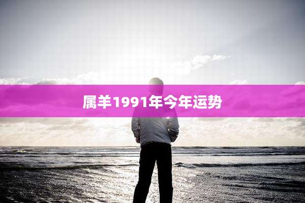 属羊1991年今年运势