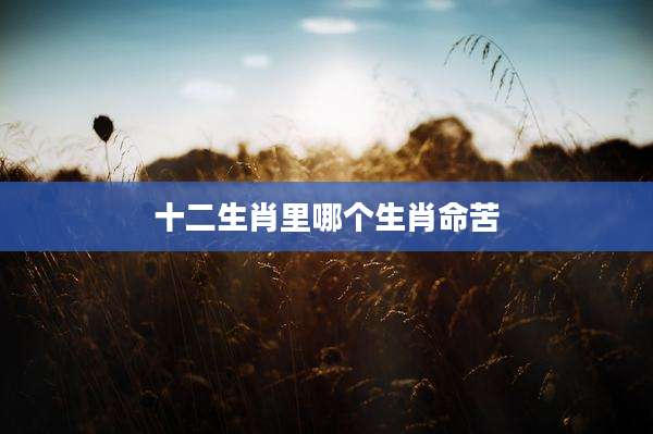 十二生肖里哪个生肖命苦