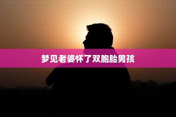 梦见老婆怀了双胞胎男孩
