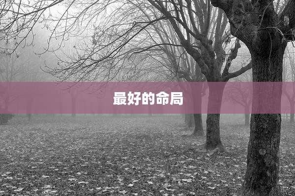 最好的命局