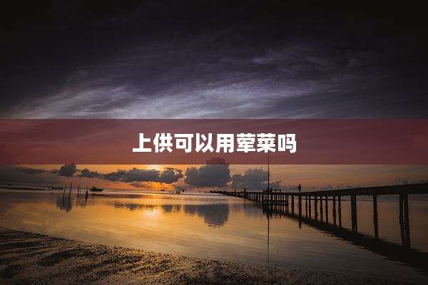 上供可以用荤菜吗