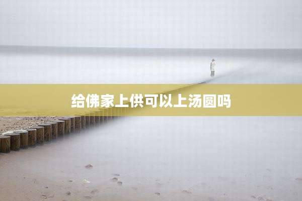 给佛家上供可以上汤圆吗