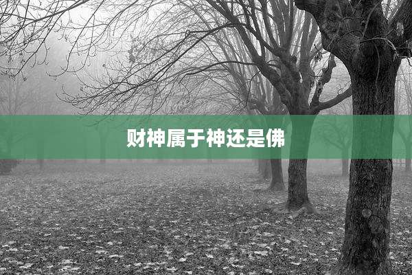 财神属于神还是佛