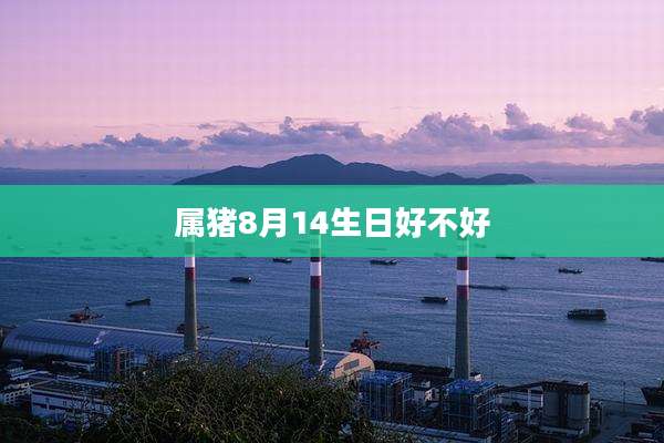 属猪8月14生日好不好