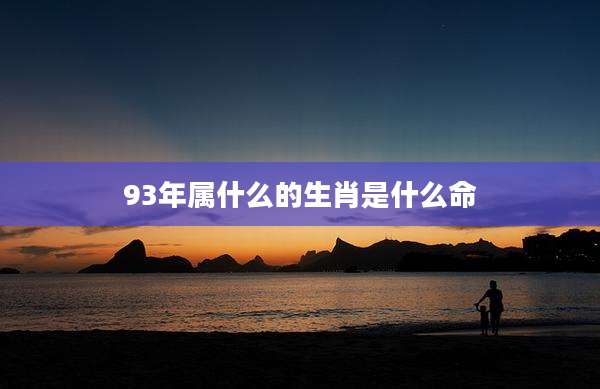 93年属什么的生肖是什么命
