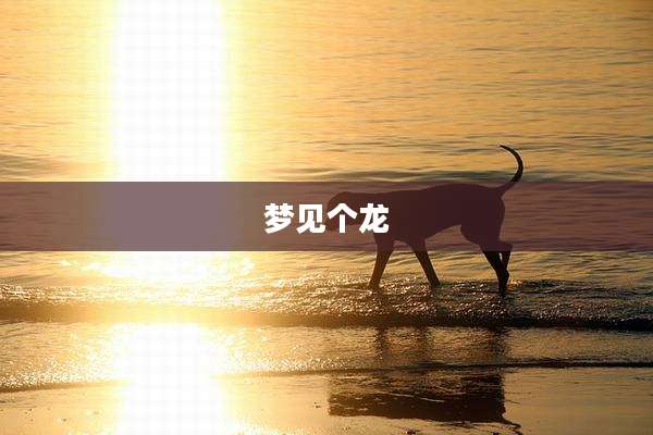 梦见个龙