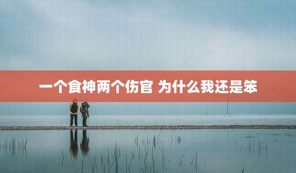 一个食神两个伤官 为什么我还是笨