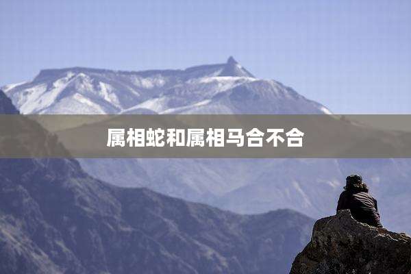 属相蛇和属相马合不合