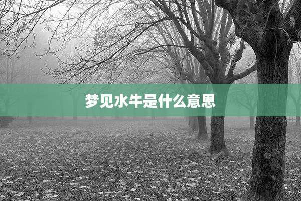 梦见水牛是什么意思