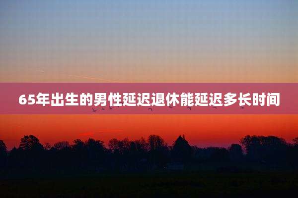 65年出生的男性延迟退休能延迟多长时间
