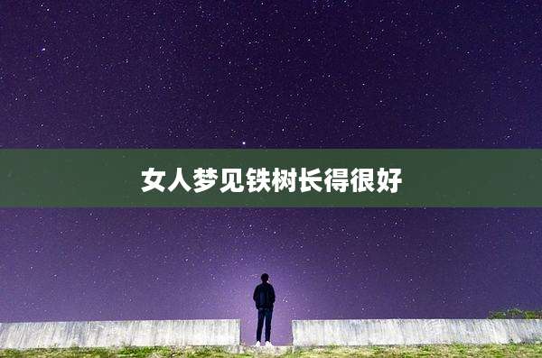 女人梦见铁树长得很好