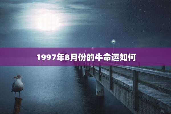 1997年8月份的牛命运如何