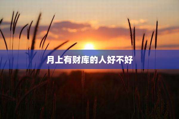 月上有财库的人好不好