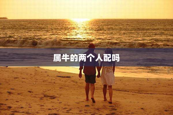属牛的两个人配吗