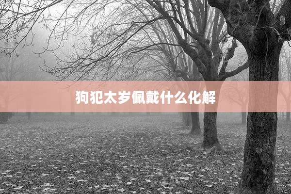 狗犯太岁佩戴什么化解
