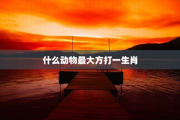 什么动物最大方打一生肖