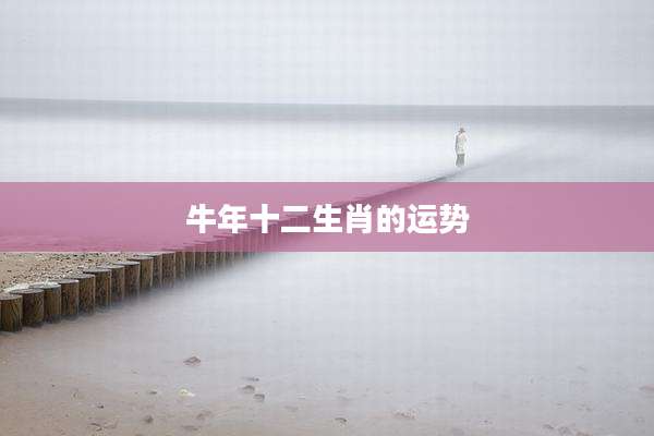 牛年十二生肖的运势