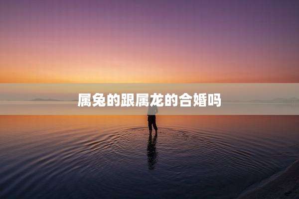 属兔的跟属龙的合婚吗