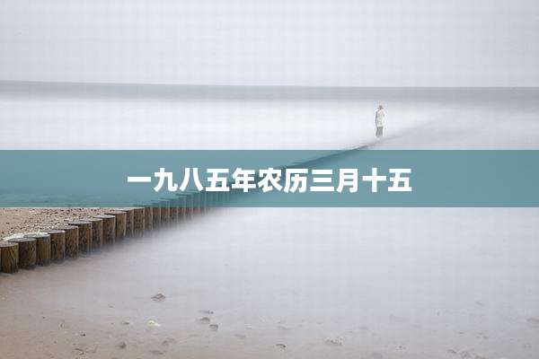 一九八五年农历三月十五