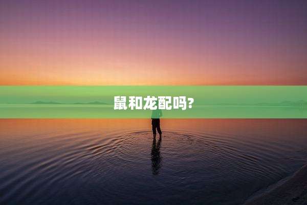 鼠和龙配吗?