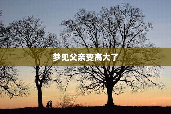 梦见父亲变高大了
