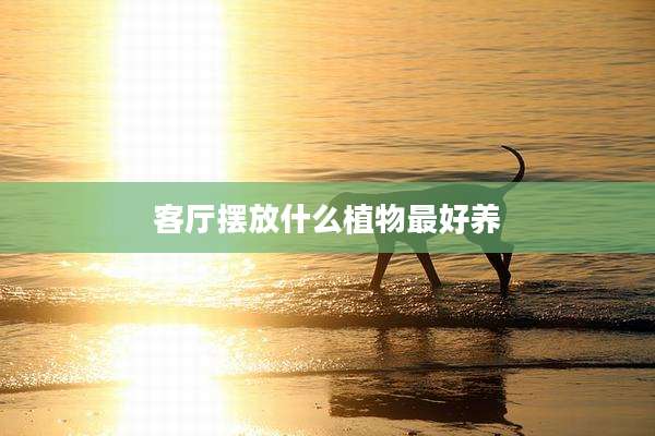 客厅摆放什么植物最好养