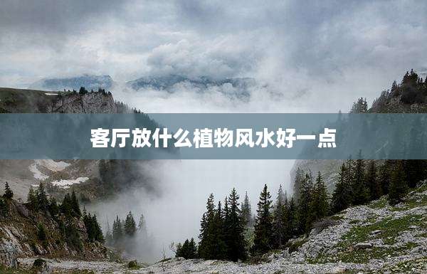 客厅放什么植物风水好一点