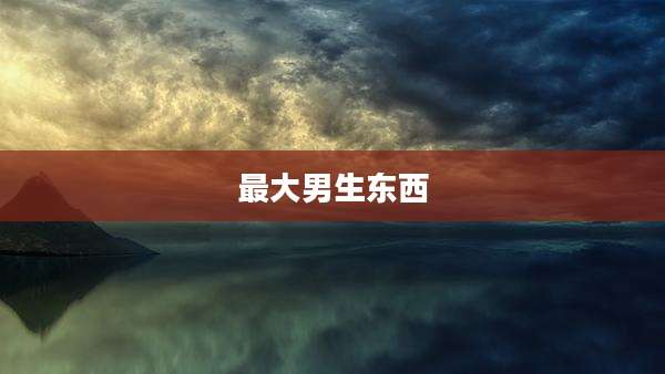 最大男生东西