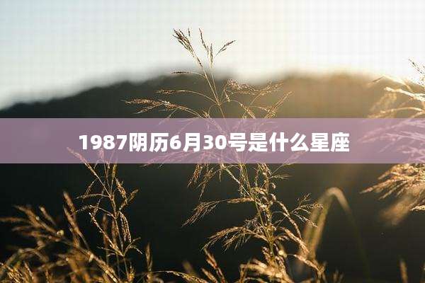 1987阴历6月30号是什么星座