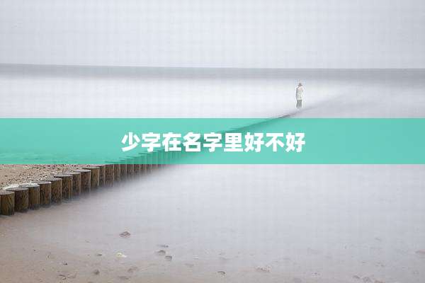 少字在名字里好不好