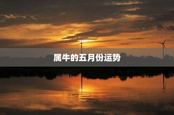 属牛的五月份运势